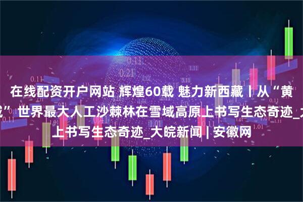 在线配资开户网站 辉煌60载 魅力新西藏丨从“黄沙窝”到“绿长城” 世界最大人工沙棘林在雪域高原上书写生态奇迹_大皖新闻 | 安徽网