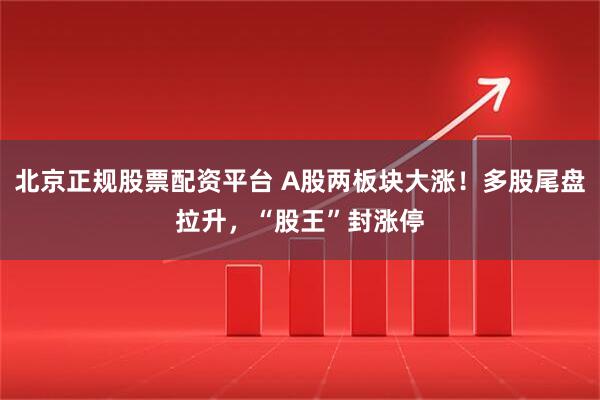 北京正规股票配资平台 A股两板块大涨！多股尾盘拉升，“股王”封涨停